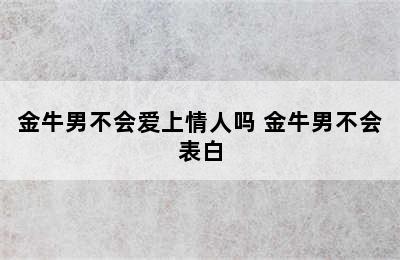 金牛男不会爱上情人吗 金牛男不会表白